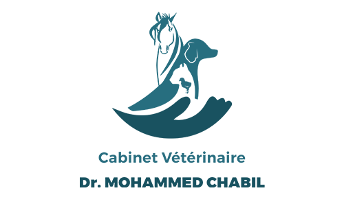 Cabinet Vétérinaire - Dr Mohammed CHABIL
